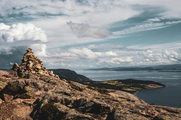 Unveil Cornwall's Secret Gardens: Exclusive Tours Showcasing Unique Plant Treasures
