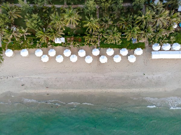 Unveil British Aviation History: Dive into Interactive Exhibits and Immersive Guided Tours